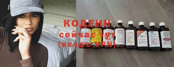 дмт Пересвет