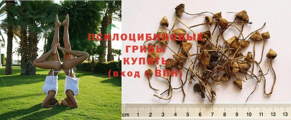 метадон Белоозёрский
