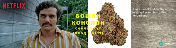 гидропоника Белокуриха
